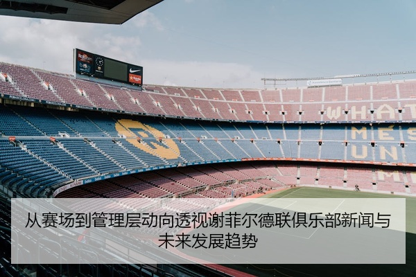 从赛场到管理层动向透视谢菲尔德联俱乐部新闻与未来发展趋势