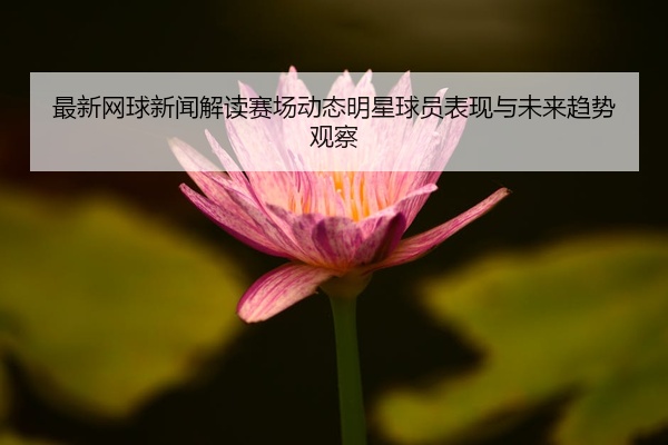 最新网球新闻解读赛场动态明星球员表现与未来趋势观察