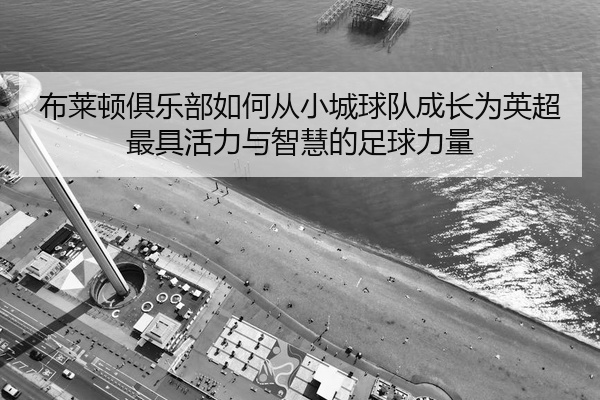 布莱顿俱乐部如何从小城球队成长为英超最具活力与智慧的足球力量