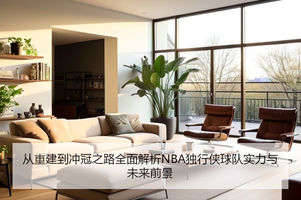 从重建到冲冠之路全面解析NBA独行侠球队实力与未来前景