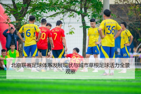北京联赛足球体系发展现状与城市草根足球活力全景观察