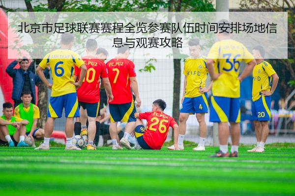 北京市足球联赛赛程全览参赛队伍时间安排场地信息与观赛攻略