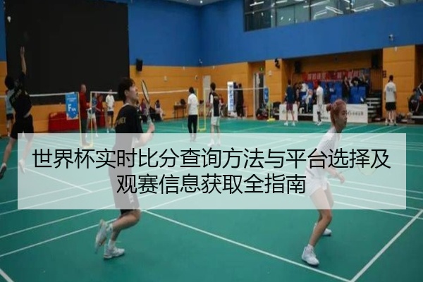 世界杯实时比分查询方法与平台选择及观赛信息获取全指南
