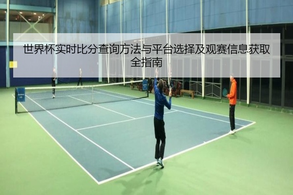 世界杯实时比分查询方法与平台选择及观赛信息获取全指南