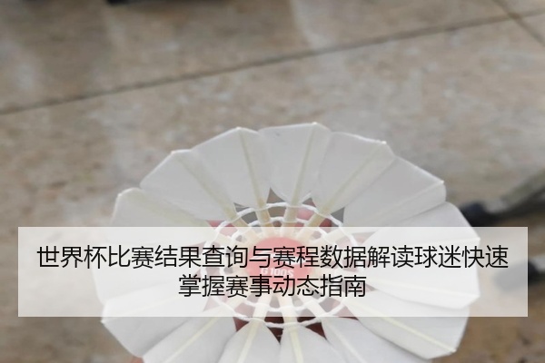 世界杯比赛结果查询与赛程数据解读球迷快速掌握赛事动态指南